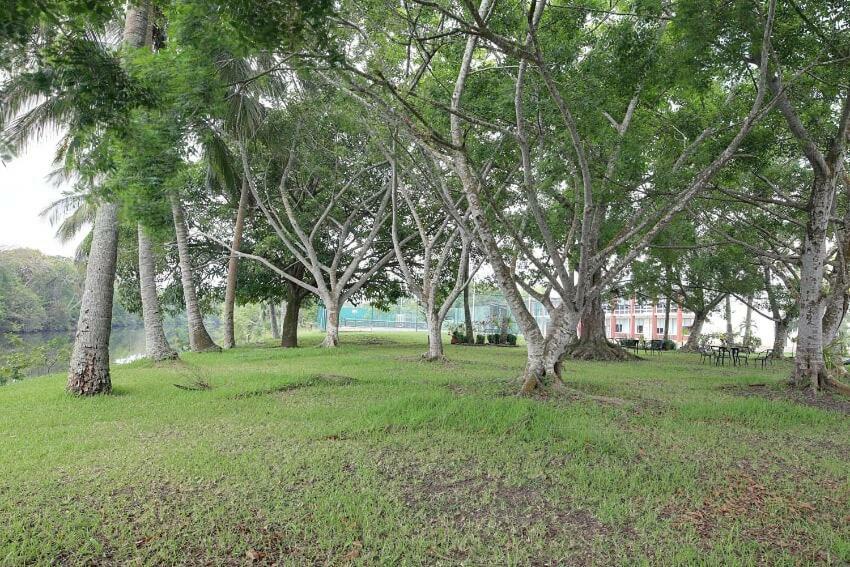 Hotel Plaza Palmas Tuxpan (Veracruz) Exterior foto